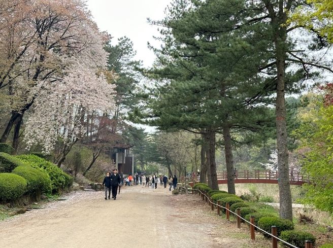 안양시 '봄 꽃 가득' 서울대 관악수목원 23일간 개방된다