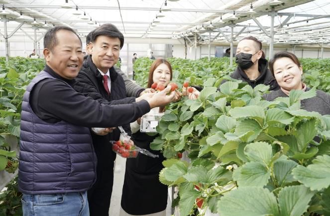 따뜻한 겨울, 광주로 딸기 먹으러 가자