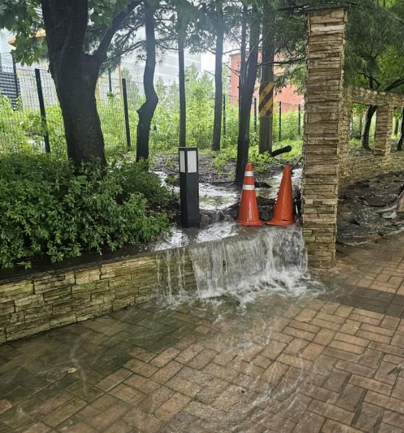 용인특례시 수지구 동천동 908 인근의 완충녹지 우천시 피해 사진