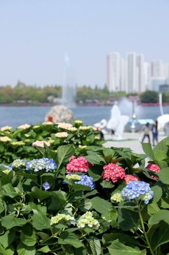 수국정원과 조각 정원