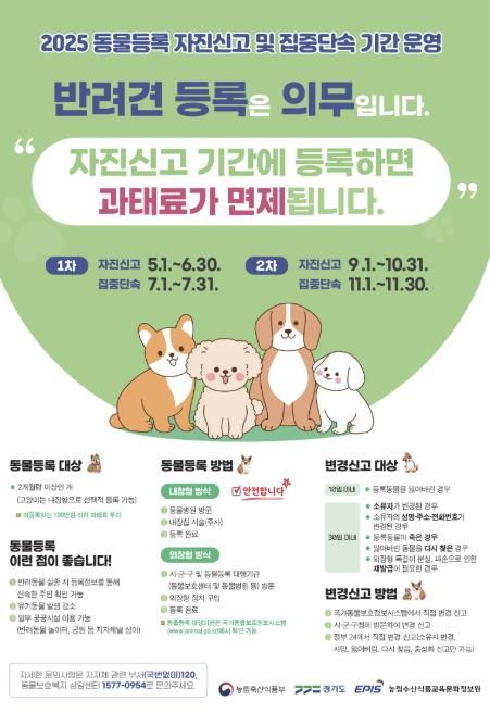 가평군, 동물등록 자진신고 기간 운영… '과태료 면제'