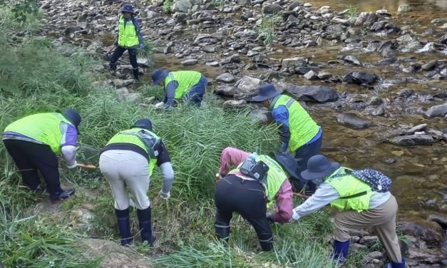 동두천시, 자연발생유원지 제초 작업 실시