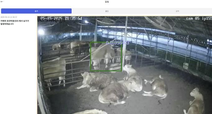 포천시, 인공지능(AI) 기반 한우 스마트팜 번식관리 시스템 본격 가동