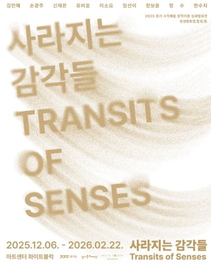 사라지는 감각들 포스터