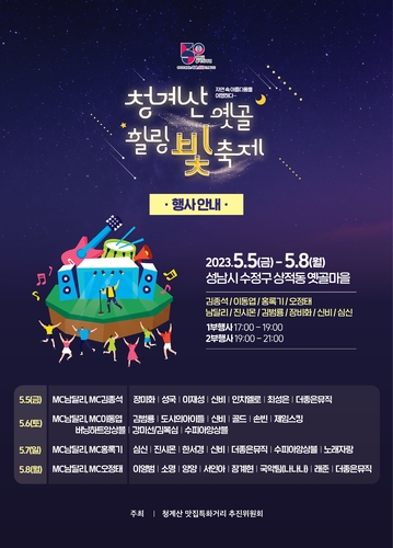 성남시 '힐링 빛 축제' 포스터. /성남시 제공